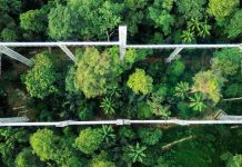 FOREST SKYWALK ATAU JEJENTAS RIMBA DESTINASI PELANCONGAN BAHARU DI IBU NEGARA
