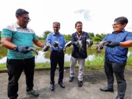 JAGUH JORAN 2025 SEMARAKKAN KONVOKESYEN KE-49 UPM