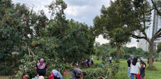 PROGRAM ‘PICK & PAY’ TARIK RIBUAN, LEBIH DUA TAN RAMBUTAN LARIS