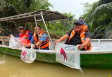 57,000 BENIH UDANG GALAH MERIAHKAN SUNGAI LINGGI