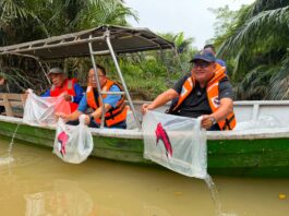 57,000 BENIH UDANG GALAH DILEPASKAN KE SUNGAI LINGGI